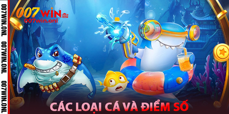 Các Loại Cá Và Điểm Số Trong Bắn Cá Online 3D