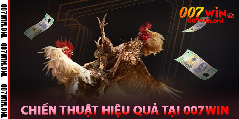 Đá Gà Cựa Sắt – So Găng Máu Lửa, Ăn Tiền Siêu Nhanh 3 Chiến Thuật Hiệu Quả Nhà Cái 007win