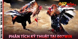 Phân tích kỹ thuật tại Nhà cái 007win