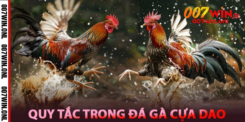 Đá Gà Cựa Dao Campuchia – Cược Gà Thật, Ăn Tiền Thật 2 Quy tắc trong Đá Gà Cựa Dao