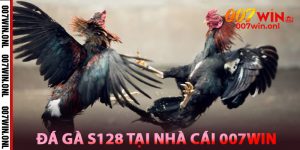 Tìm hiểu về Đá Gà S128 tại Nhà cái 007win